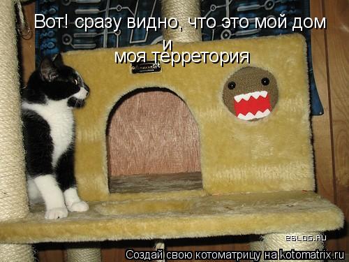 Вот! сразу видно, что это мой дом и моя терретория... Котоматрица: Вот! сразу видно, что это мой дом и моя терретория