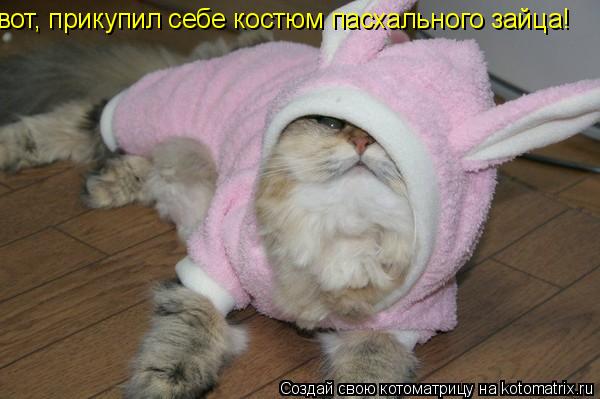 вот, прикупил себе костюм пасхального зайца!... Котоматрица: вот, прикупил себе костюм пасхального зайца!