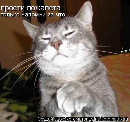 прости пожалста... только напомни за что...... Котоматрица: прости пожалста... только напомни за что...