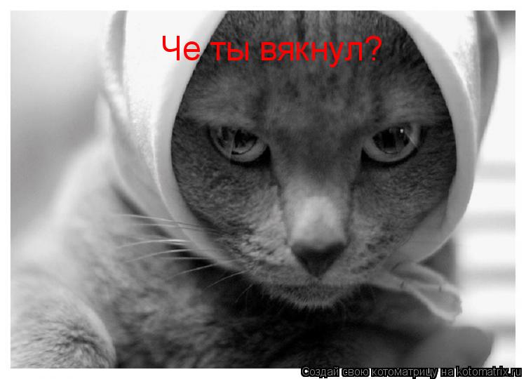 Че ты вякнул?... Котоматрица: Че ты вякнул?