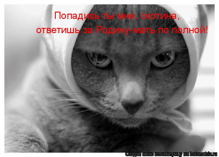 Попадись ты мне, скотина, ответишь за Родину-мать по полной!... Котоматрица: Попадись ты мне, скотина, ответишь за Родину-мать по полной!