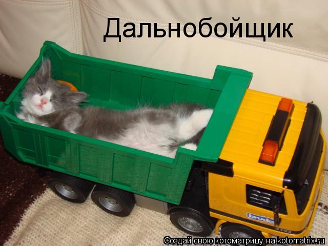 Котоматрица: Дальнобойщик