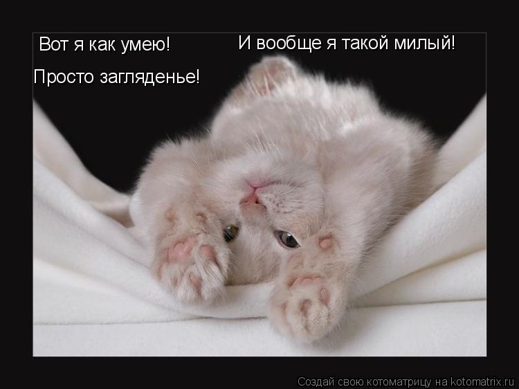 Котоматрица: Вот я как умею! И вообще я такой милый! Просто загляденье!