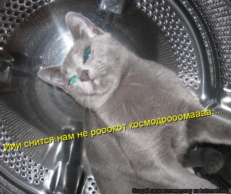 Иии снится нам не рооокот космодрооомаааа....... Котоматрица: Иии снится нам не рооокот космодрооомаааа....