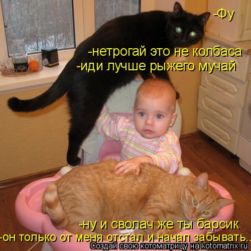 Котоматрица: -Фу -нетрогай это не колбаса -ну и сволач же ты барсик -он только от меня отстал и начал забывать... -иди лучше рыжего мучай