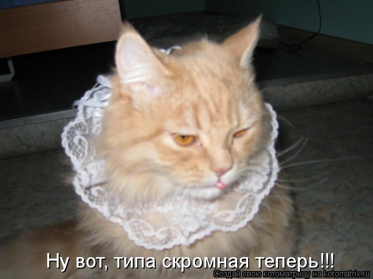 Ну вот, типа скромная теперь!!!... Котоматрица: Ну вот, типа скромная теперь!!!