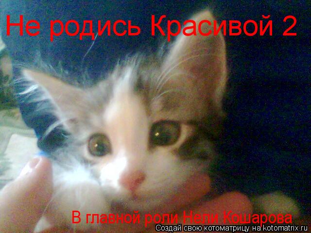 Котоматрица: Не родись Красивой 2 В главной роли Нели Кошарова