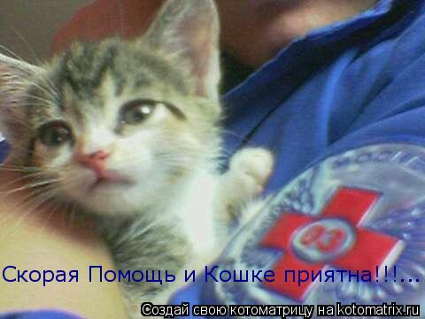 Скорая Помощь и Кошке приятна!!!...... Котоматрица: Скорая Помощь и Кошке приятна!!!...