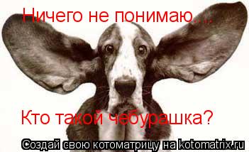 Ничего не понимаю.... Кто такой чебурашка?... Котоматрица: Ничего не понимаю.... Кто такой чебурашка?