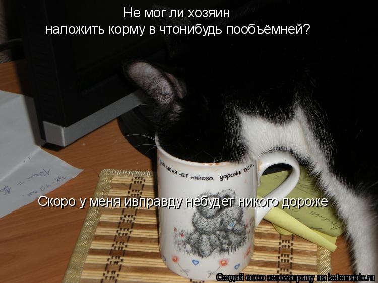 Не мог ли хозяин наложить корму в чтонибудь пообъёмней? Скоро у меня ивправду небудет никого дороже... Котоматрица: Не мог ли хозяин наложить корму в чтонибудь пообъёмней? Скоро у меня ивправду небудет никого дороже