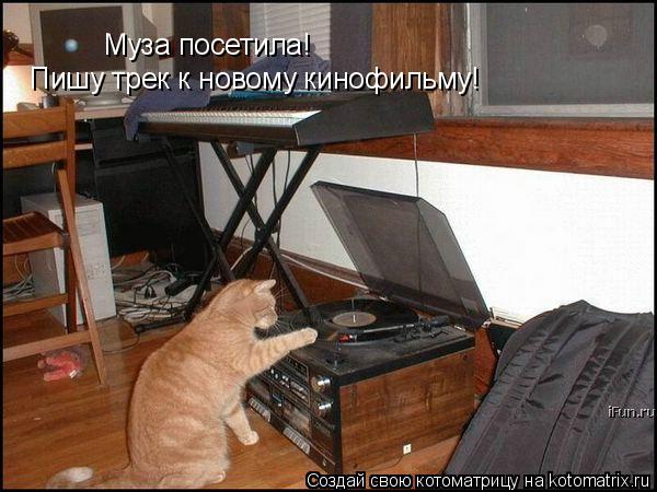 Котоматрица: Муза посетила! Пишу трек к новому кинофильму!