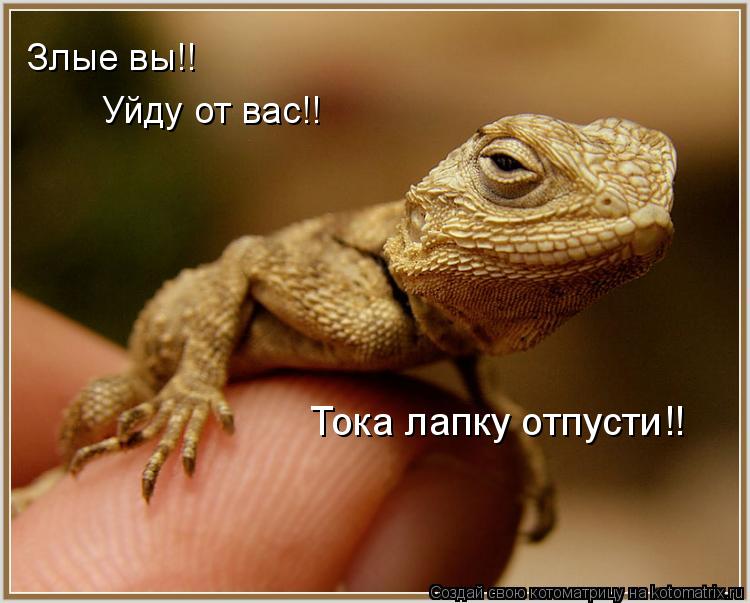Злые вы!! Уйду от вас!! Тока лапку отпусти!!... Котоматрица: Злые вы!! Уйду от вас!! Тока лапку отпусти!!