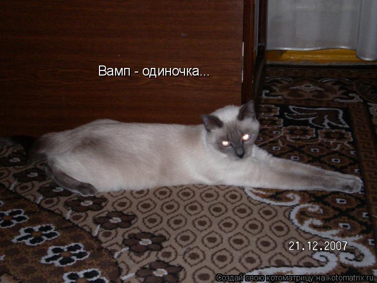 Котоматрица: Вамп - одиночка...