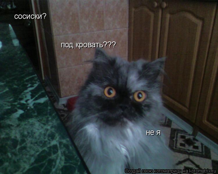 под кровать??? сосиски? не я... Котоматрица: под кровать??? сосиски? не я