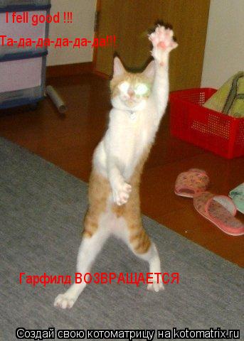 I fell good !!! Та-да-да-да-да-да!!! Гарфилд ВОЗВРАЩАЕТСЯ... Котоматрица: I fell good !!! Та-да-да-да-да-да!!! Гарфилд ВОЗВРАЩАЕТСЯ