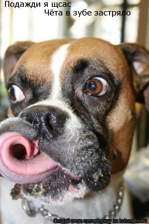 Подажди я щсас Чёта в зубе застряло... Котоматрица: Подажди я щсас Чёта в зубе застряло