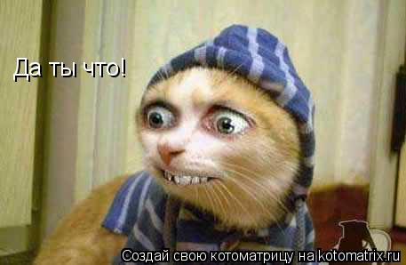 Да ты что!... Котоматрица: Да ты что!
