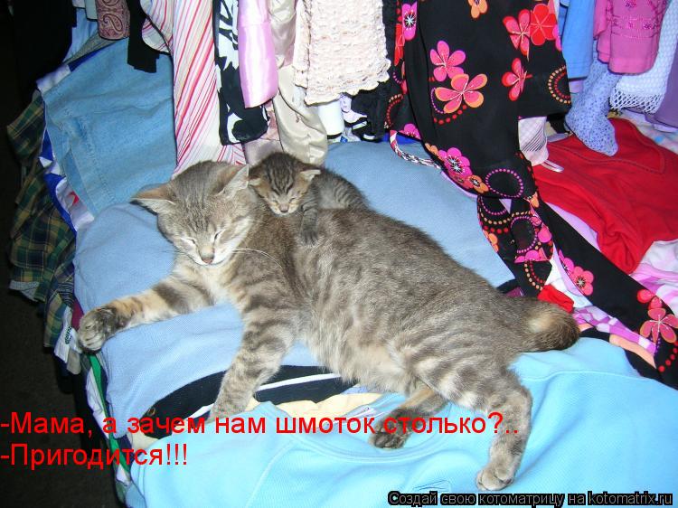-Мама, а зачем нам шмоток столько?.. -Пригодится!!!... Котоматрица: -Мама, а зачем нам шмоток столько?.. -Пригодится!!!