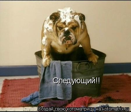 Следующий!!... Котоматрица: Следующий!!