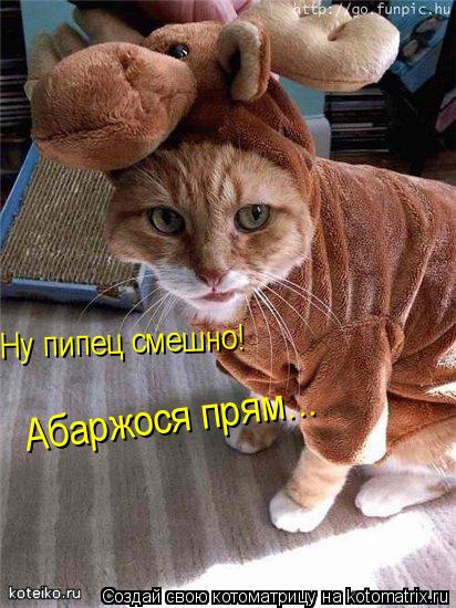 Котоматрица: Ну пипец смешно! Абаржося прям...