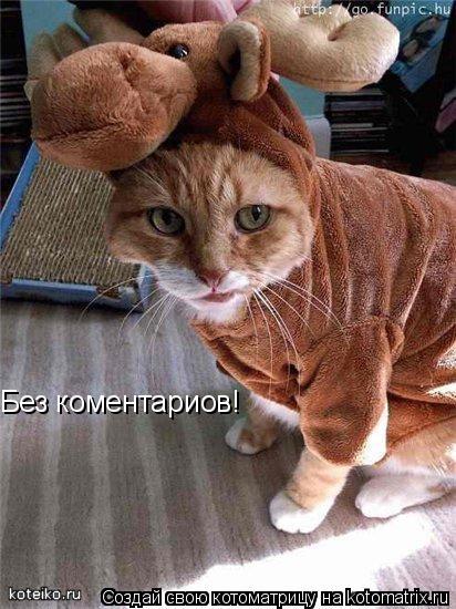 Без коментариов!... Котоматрица: Без коментариов!