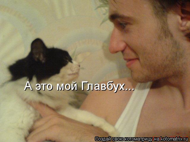 Котоматрица: А это мой Главбух...