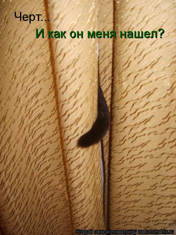Черт... И как он меня нашел?... Котоматрица: Черт... И как он меня нашел?