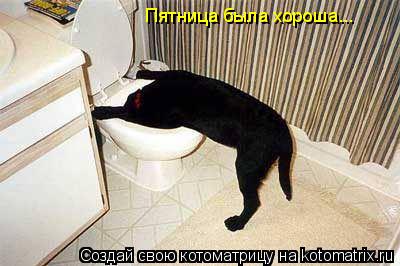 Пятница была хороша...... Котоматрица: Пятница была хороша...