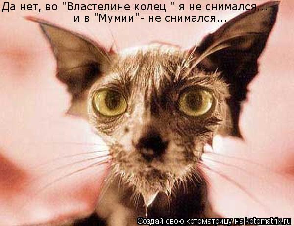 Да нет, во "Властелине колец " я не снимался... и в "Мумии"- не снимался...... Котоматрица: Да нет, во "Властелине колец " я не снимался... и в "Мумии"- не снимался...