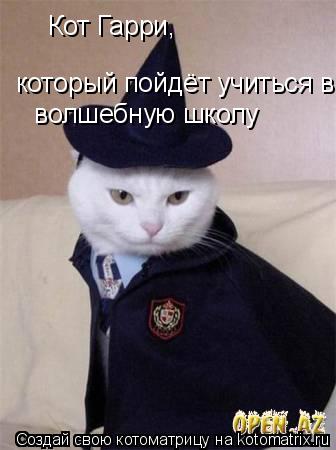 Кот Гарри, который пойдёт учиться в во волшебную школу... Котоматрица: Кот Гарри, который пойдёт учиться в во волшебную школу
