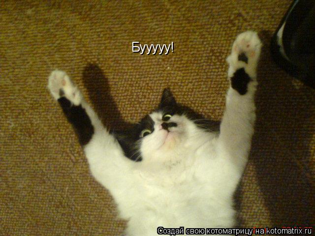 Бууууу!... Котоматрица: Бууууу!