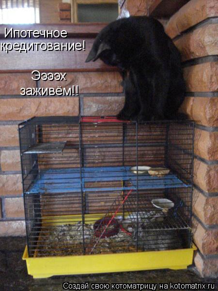 Ипотечное кредитование! Ээээх заживём!!... Котоматрица: Ипотечное кредитование! Ээээх заживём!!