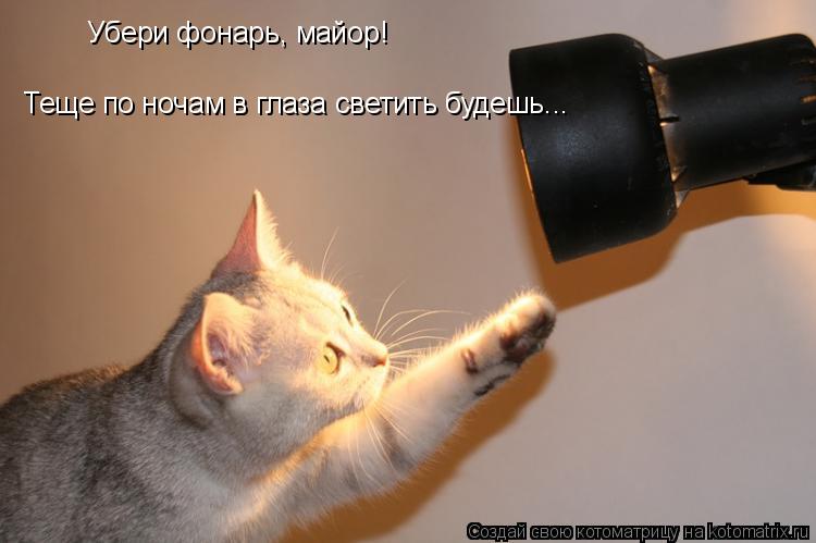 Убери фонарь, майор! Убери фонарь, майор! Теще по ночам в глаза светить будешь...... Котоматрица: Убери фонарь, майор! Убери фонарь, майор! Теще по ночам в глаза светить будешь...