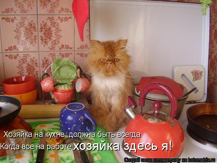Хозяйка на кухне ,должна быть всегда. Когда все на работе, хозяйка здесь я!... Котоматрица: Хозяйка на кухне ,должна быть всегда. Когда все на работе, хозяйка здесь я!