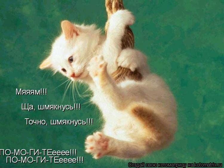 Мяяям!!! Ща, шмякнусь!!! Точно, шмякнусь!!! ПО-МО-ГИ-ТЕееее!!! ПО-МО-ГИ-ТЕееее!!!... Котоматрица: Мяяям!!! Ща, шмякнусь!!! Точно, шмякнусь!!! ПО-МО-ГИ-ТЕееее!!! ПО-МО-ГИ-ТЕееее!!!