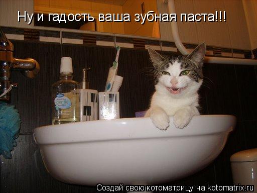 Ну и гадость ваша зубная паста!!!... Котоматрица: Ну и гадость ваша зубная паста!!!