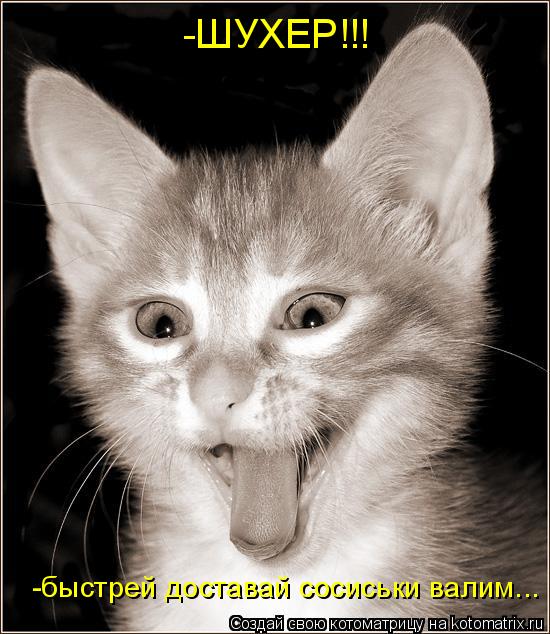 -ШУХЕР!!! -быстрей доставай сосиськи валим...... Котоматрица: -ШУХЕР!!! -быстрей доставай сосиськи валим...