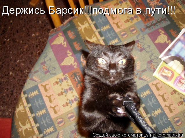 Котоматрица: Держись Барсик!!!подмога в пути!!!