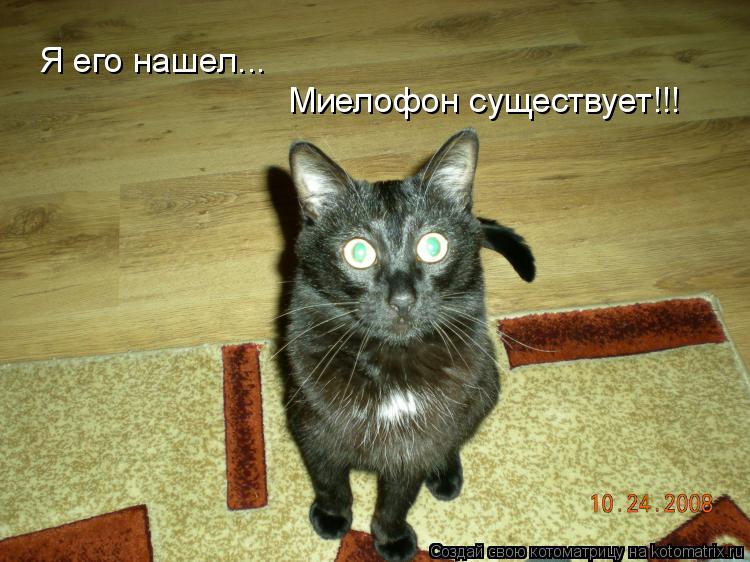Я его нашел... Миелофон существует!!!... Котоматрица: Я его нашел... Миелофон существует!!!