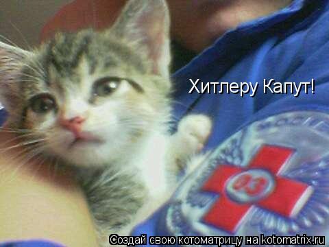 Хитлеру Капут!... Котоматрица: Хитлеру Капут!