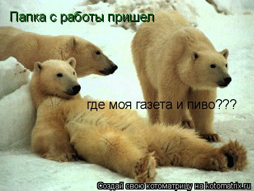 Папка с работы пришел где моя газета и пиво???... Котоматрица: Папка с работы пришел где моя газета и пиво???