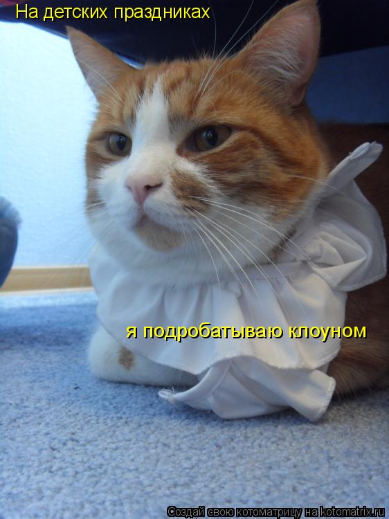 Котоматрица: На детских праздниках я подробатываю клоуном