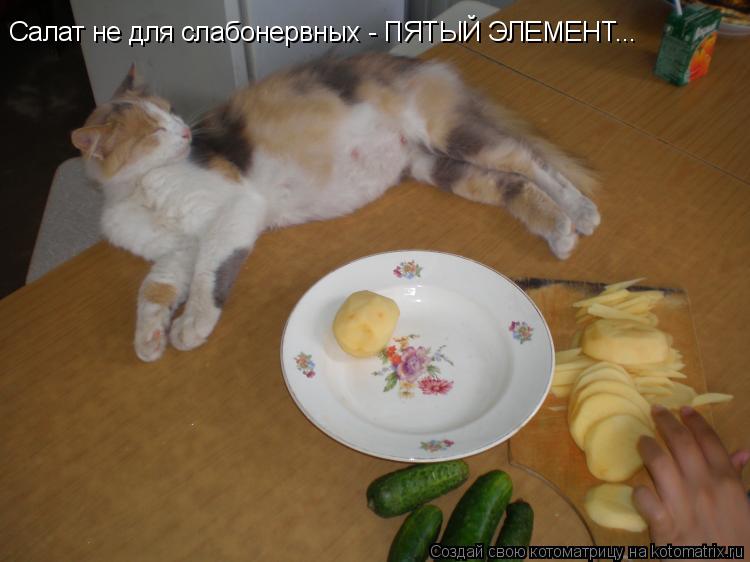 Котоматрица: Салат не для слабонервных - ПЯТЫЙ ЭЛЕМЕНТ...