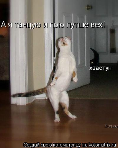 А я танцую и пою лутше вех! хвастун... Котоматрица: А я танцую и пою лутше вех! хвастун
