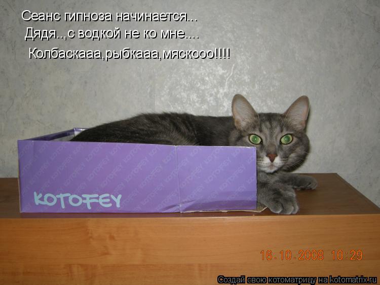 Котоматрица: Сеанс гипноза начинается... Дядя..,с водкой не ко мне.... Колбаскааа,рыбкааа,мяскооо!!!!
