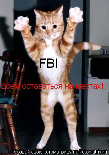 Котоматрица: FBI Всем оставаться на местах!