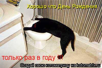 Котоматрица: Хорошо что День Рождения только раз в году !!!