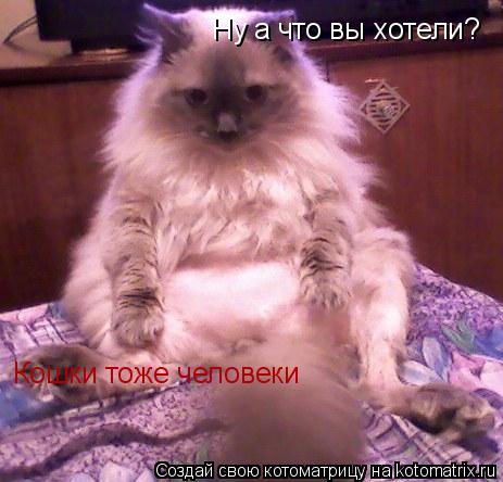 Ну а что вы хотели? Кошки тоже человеки... Котоматрица: Ну а что вы хотели? Кошки тоже человеки