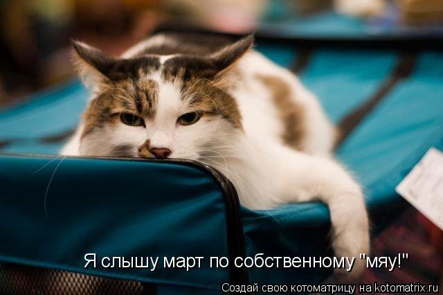 Я слышу март по собственному "мяу!"... Котоматрица: Я слышу март по собственному "мяу!"