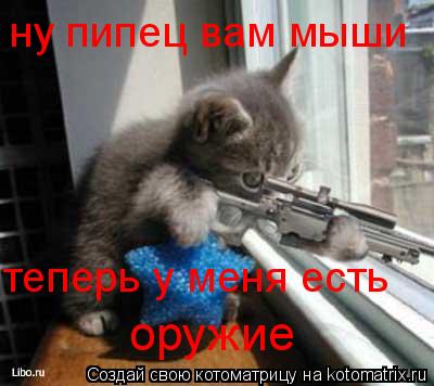 Котоматрица: ну пипец вам мыши теперь у меня есть оружие